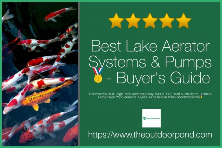 Top 10 Best Lake Aerator Systems Pumps Jul 2024   Best Lake Aerator Systems Pumps 768x512 