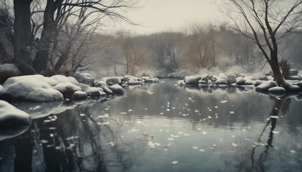 raising koi in winter